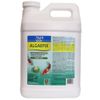 API POND ALGAEFIX 2.5 gal. Pond Algae Control
