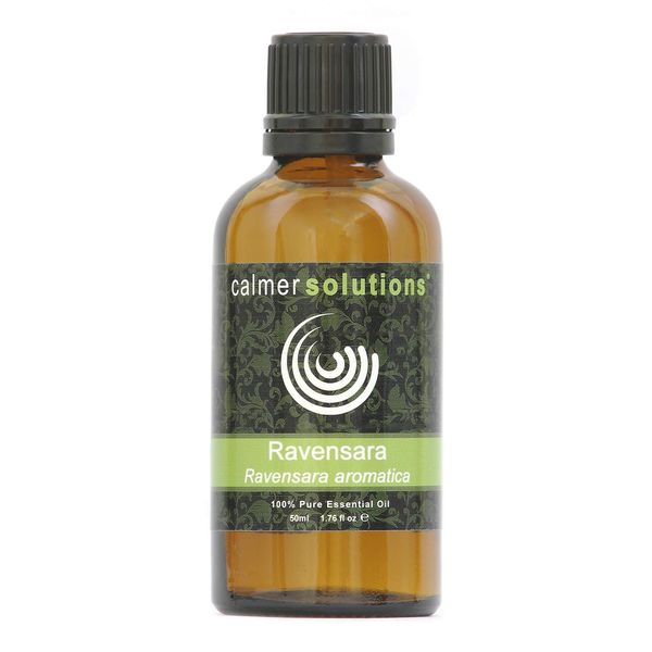 Ravensara 100% Pure Essential Aromatherapy Oil 50ml