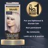 Jerome Russell Bblonde Maximum Colour Toner Silver, 75ml