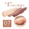 Cezanne Tone-Up Eyeshadow 07Red Brown