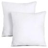 Inner Cushion 60x60 cm 700gm