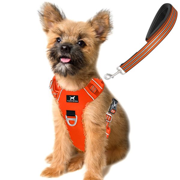 TUFFDOG Easy-Fit Dog Harness Small Dog - Fast Release Neck Clip, Premium Padded Reflective No Pull Harness with Control Handle, Adjustable Step-in Dog Vest Plus Free Matching Lead (S, Blaze Orange)