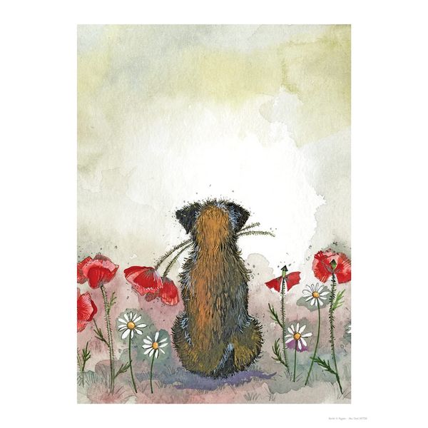 ALEX CLARK Border and Poppies Art Print