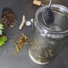 DIY Small Open and Closed Terrarium Kit