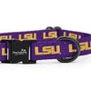 LSU Tigers Adjustable Dog Collars and Leashes | Fits Pets Officially Licensed (Medium Collar)