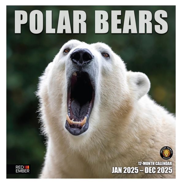 RED EMBER Polar Bears 2025 Hangable Monthly Wall Calendar | 12" x 24" Open | Thick & Sturdy Paper | Giftable