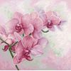 Cross Stitch Pattern Luca-S - Graceful Orchids, P7009
