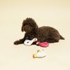 Fringe Studio Squeaker Pet Toy Set, Set of 3, Floaties (289444), Multi-Colored