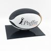 Puffin Plastics Rugby Ball Display Case (Black Base) - Mirror Back