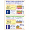 Prefel regular bottle for facial taping (6.1 fl oz (180 ml)