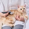 Petio FIXCARE Soft Slicker Brush for Dogs and Cats, Small