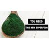 anemia support - Organic BLUE GREEN ALGAE 500mg - klamath blue green algae 2 Bot