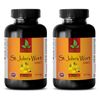 Ginko Biloba - ST. JOHN'S WORT EXTRACT - May Help Heal Cuts 2B