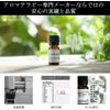 Black Spruce 10ml Incent Essential Oil Essential Oil
