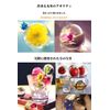 Polar Ice Tray 2 Ice Maker, 4 Transparent Ice Cube Trays (Main Unit + Ice Tray)