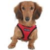 Puppia papia Soft Harness Red ah305re