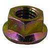 BP Chromate Flange Nut M6 100 Pack