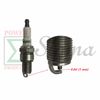 Ignition Coil Module Spark Plug For Harbor Predator 3500 Watt Inverter Generator