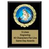 Same Day Awards Magic Fishing Plaque (6"X8") - Engraving Included