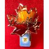 Bath & Body Works Fall THANKFUL Maple Leaf Ombre Yellow Red Nightlight Plug NWT