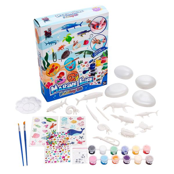 Fun Express DIY Marine Sea Life Sculpture and Rock Painting Kit for Kids, All in One Kids Craft Kit, Birthday and Everday Gifts, Great for Creative Acitivity for Home and School