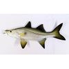 Replica Snook Ocean Coastal Fly Fishing Wall Decor