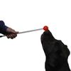 Karen Pryor Lollipop Target Stick for Clicker Training