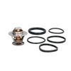 Calorstat TH1439.80J Thermostat, coolant