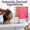 Fairy Tales Rosemary Repel Daily Kids Conditioning Spray – Kids Like the Smell, Lice Do Not, 8 fl oz. (Pack of 1)