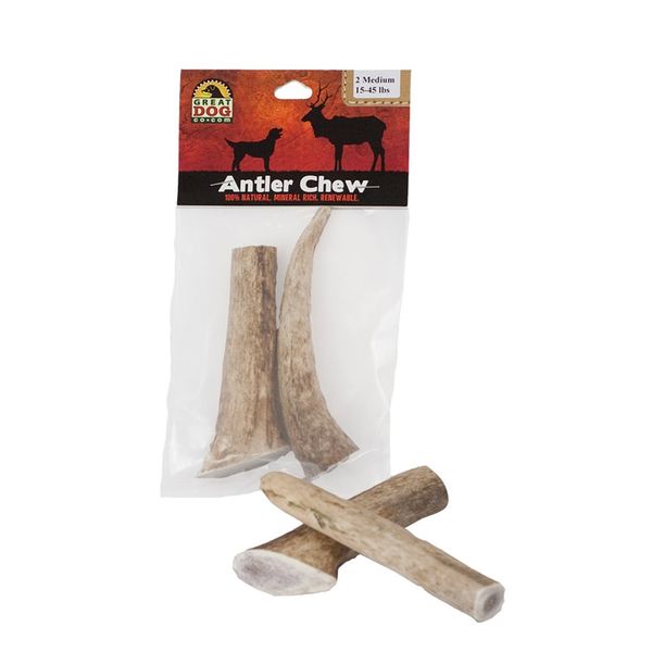 Great Dog Medium Elk Antler Chew - 2 Count Bag