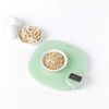 Brabantia 122903 Tasty+ Kitchen Scales Plus, Jade Green