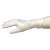 Yamato Dispo Plastic Gloves, Small, 100 Count