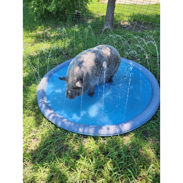 Blue Outdoor Water Splash Pad 95" Large For Kids Ages 4-8 Adults/Dogs Durable