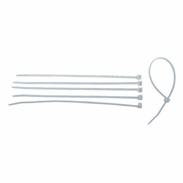 Philmore 13-2006M Cable Ties 6 Inch