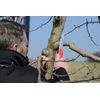 Felco Folding Saw Model 600
