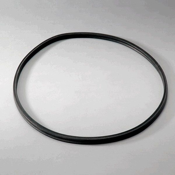 Donaldson P016972 Gasket Kit