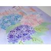 MIYUKI Beads Kit Bead Decor Hydrangea (June) BHD-154