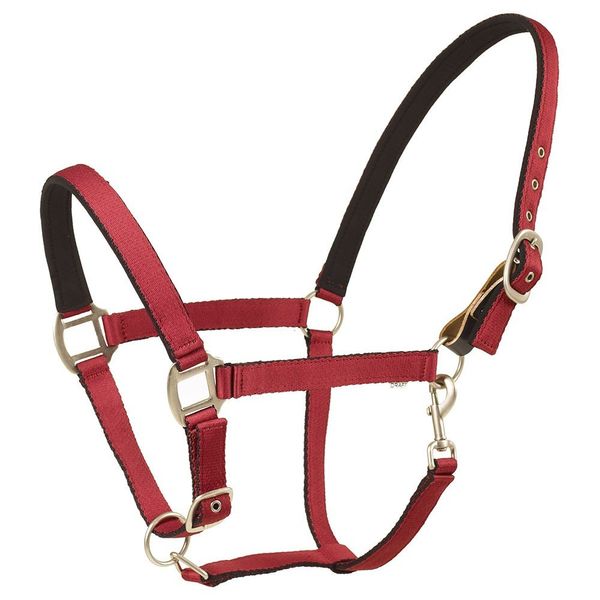 Centaur Solid Cushion Padded Breakaway Halter (Burgundy, Cob)