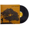 In Between Dreams [VINYL]
