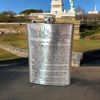 8oz We the People Stainless Steel Flask