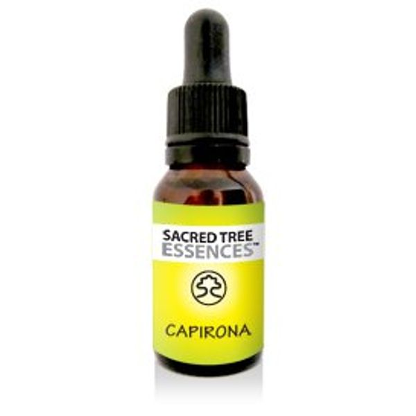 CAPIRONA Master Plant shamanic Amazonian Essence