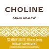 Nature's Way Choline, 500 mg per serving, 100 Tablets (Pack of 2)