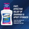 Kaopectate Max Peppermint 8oz