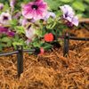 100 Pack 1/4 Inch Drip Irrigation Support Stakes, Plastic, 5.68 Inch, Barb Co...