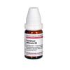 Levisticum officinalis D6 DHU Globuli, 10 g Globuli