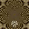 A Celebration[12" Single]