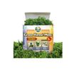 Artificial Moss Potted Plants Decorative Crafts Green Table Piece Wedding Party