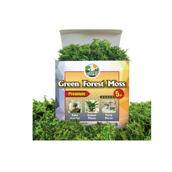 Artificial Moss Potted Plants Decorative Crafts Green Table Piece Wedding Party