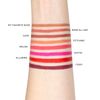 Gel Lipliner CP681 Figgy