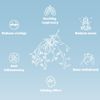 PurePix QuitPix Help Quit Smoking Extra Thick Boosting Flavored Toothpicks wi...